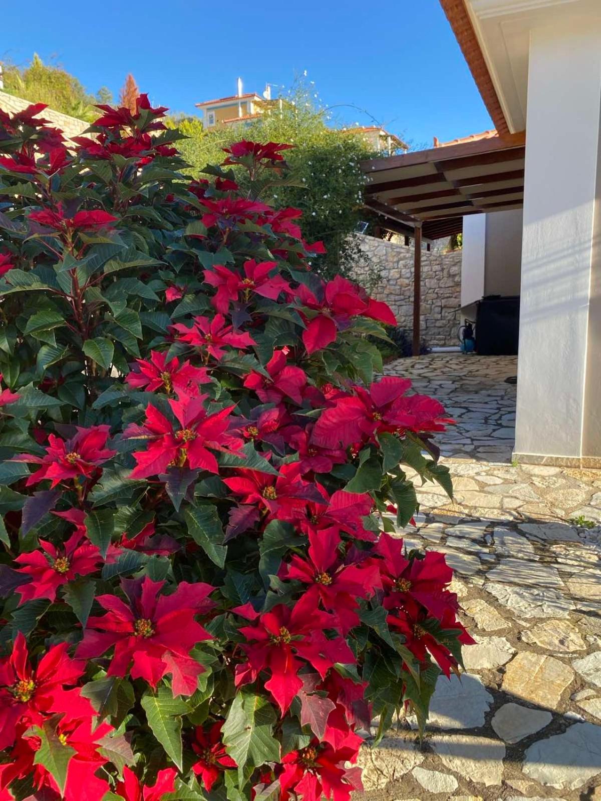 Apollo Romantic Sea View Villa Kivéri Kültér fotó